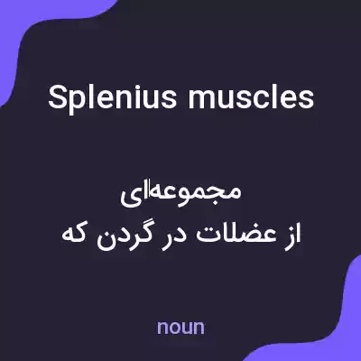 معنی splenius muscles به فارسی معنی splenius muscles به فارسی