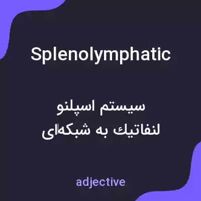 معنی splenolymphatic به فارسی معنی splenolymphatic به فارسی