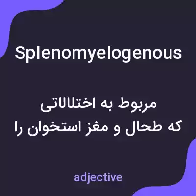 معنی splenomyelogenous به فارسی