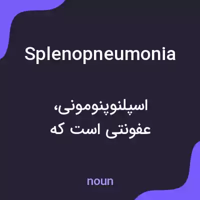 معنی splenopneumonia به فارسی معنی splenopneumonia به فارسی