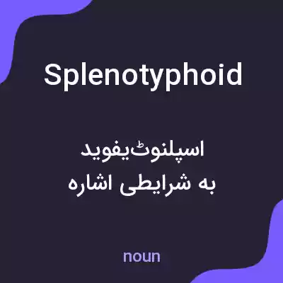 معنی splenotyphoid به فارسی