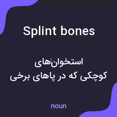 معنی splint bones به فارسی معنی splint bones به فارسی