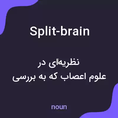 معنی split-brain به فارسی