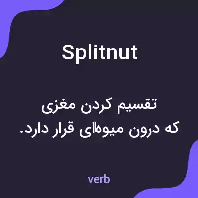معنی splitnut به فارسی معنی splitnut به فارسی