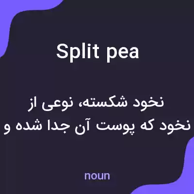 معنی split pea به فارسی