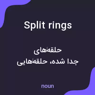 معنی split rings به فارسی