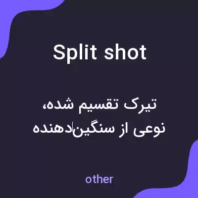 معنی split shot به فارسی معنی split shot به فارسی