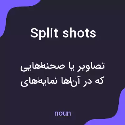 معنی split shots به فارسی