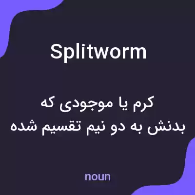 معنی splitworm به فارسی معنی splitworm به فارسی