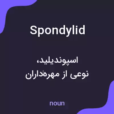 معنی spondylid به فارسی معنی spondylid به فارسی