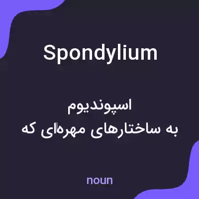 معنی spondylium به فارسی معنی spondylium به فارسی