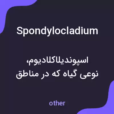 معنی spondylocladium به فارسی معنی spondylocladium به فارسی