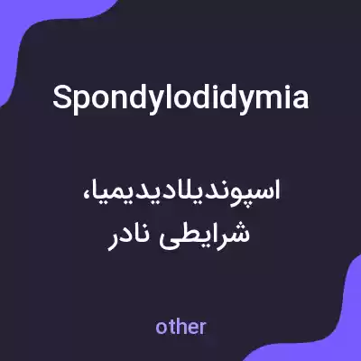 معنی spondylodidymia به فارسی