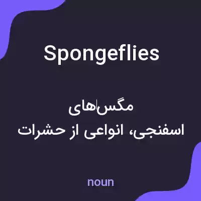 معنی spongeflies به فارسی معنی spongeflies به فارسی
