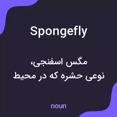 معنی spongefly به فارسی معنی spongefly به فارسی