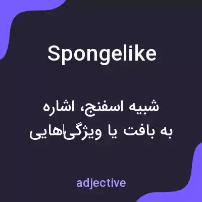 معنی spongelike به فارسی معنی spongelike به فارسی