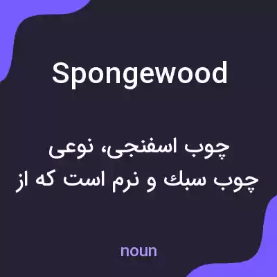 معنی spongewood به فارسی معنی spongewood به فارسی
