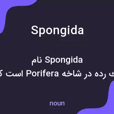 معنی spongida به فارسی معنی spongida به فارسی