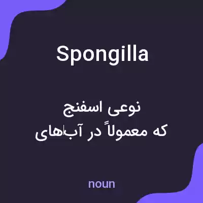معنی spongilla به فارسی معنی spongilla به فارسی