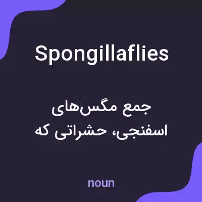معنی spongillaflies به فارسی معنی spongillaflies به فارسی
