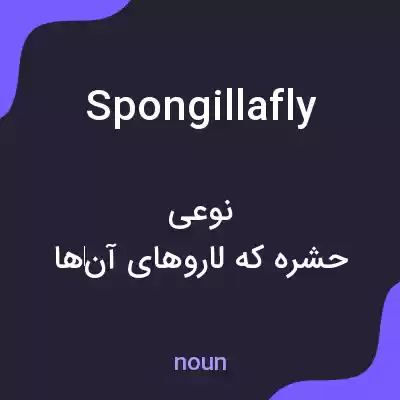 معنی spongillafly به فارسی معنی spongillafly به فارسی