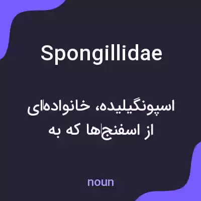 معنی spongillidae به فارسی معنی spongillidae به فارسی