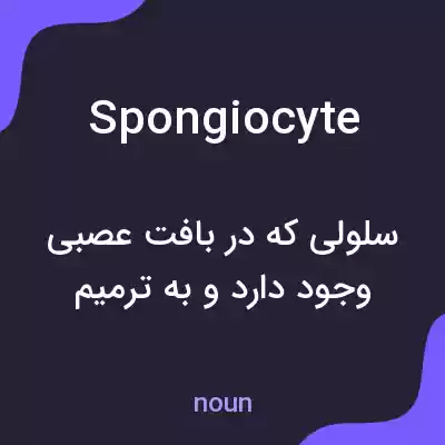 معنی spongiocyte به فارسی معنی spongiocyte به فارسی