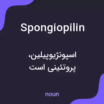 معنی spongiopilin به فارسی معنی spongiopilin به فارسی