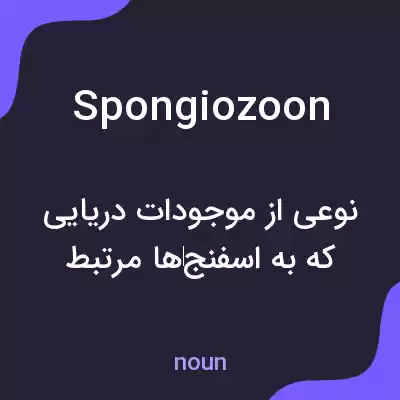 معنی spongiozoon به فارسی