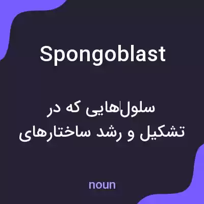 معنی spongoblast به فارسی معنی spongoblast به فارسی