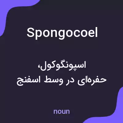 معنی spongocoel به فارسی معنی spongocoel به فارسی