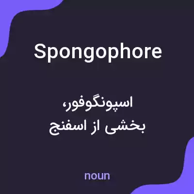 معنی spongophore به فارسی معنی spongophore به فارسی