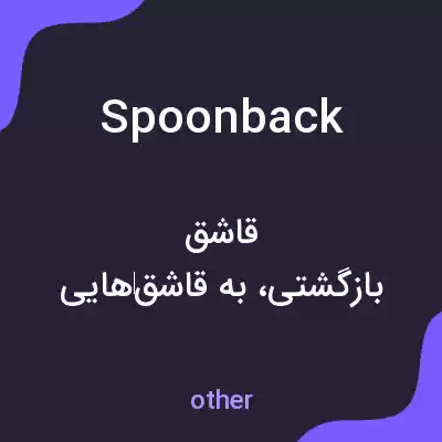 معنی spoonback به فارسی معنی spoonback به فارسی
