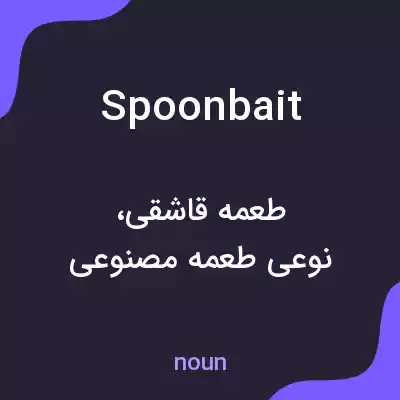معنی spoonbait به فارسی معنی spoonbait به فارسی