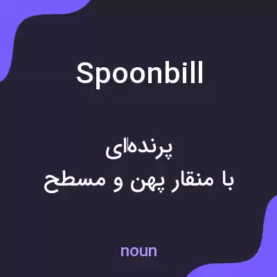 معنی spoonbill به فارسی معنی spoonbill به فارسی