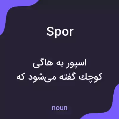 معنی spor به فارسی معنی spor به فارسی
