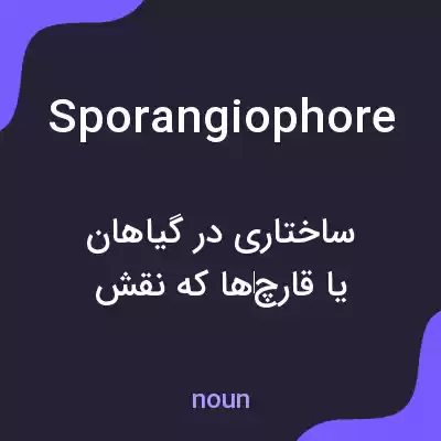 معنی sporangiophore به فارسی معنی sporangiophore به فارسی