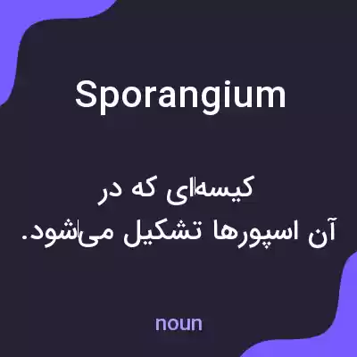 معنی sporangium به فارسی معنی sporangium به فارسی