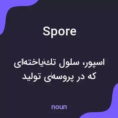 معنی spore به فارسی معنی spore به فارسی