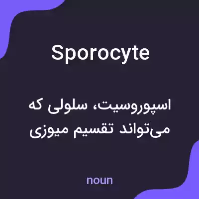 معنی sporocyte به فارسی معنی sporocyte به فارسی
