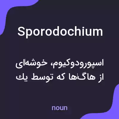معنی sporodochium به فارسی معنی sporodochium به فارسی