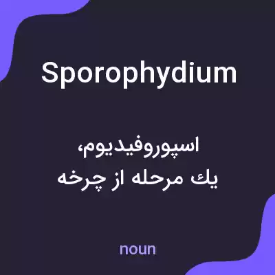 معنی sporophydium به فارسی