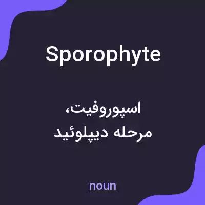 معنی sporophyte به فارسی معنی sporophyte به فارسی
