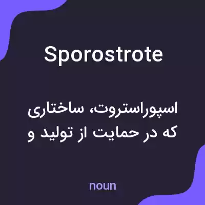 معنی sporostrote به فارسی معنی sporostrote به فارسی