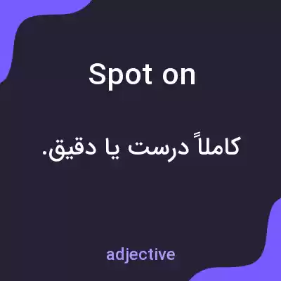 معنی spot on به فارسی معنی spot on به فارسی