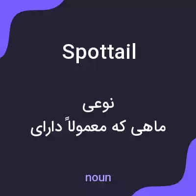 معنی spottail به فارسی معنی spottail به فارسی