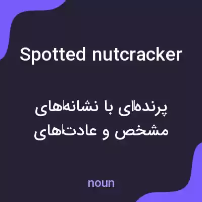 معنی spotted nutcracker به فارسی معنی spotted nutcracker به فارسی