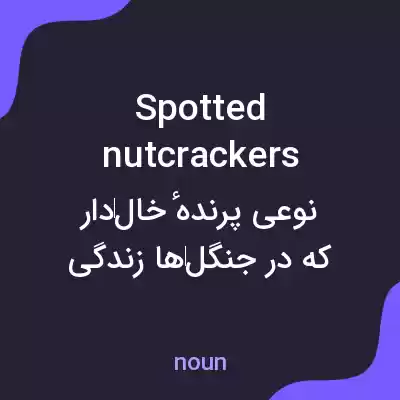 معنی spotted nutcrackers به فارسی معنی spotted nutcrackers به فارسی