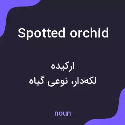 معنی spotted orchid به فارسی معنی spotted orchid به فارسی