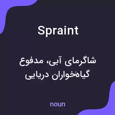 معنی spraint به فارسی معنی spraint به فارسی